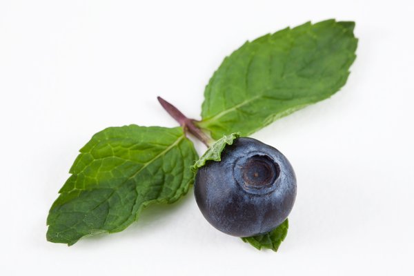 Blueberry & Mint: 