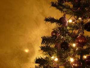 Graham's Christmas Tree 10: Everyone has been so nice about my Christmas Tree collection from last year I thought I'd create some more :) Last year's theme was silver and red - this year it's purple. Enjoy and, as always, I'd love to hear where you're using the photos!