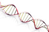 DNA molecule 3: DNA double helix illustration