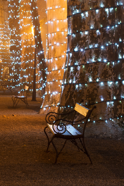 A place for two: A bench in the park with trees decorated with Christmas lamps