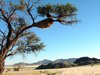 Namib Desert 3: 