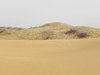 Shapotou deserto: 