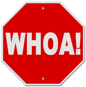 WHOA!: Horsey Stop Sign