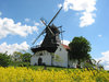 Windmühle und gelben Feld: 