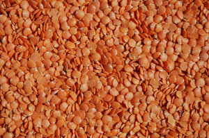 Lentils texture: Red Lentils texture