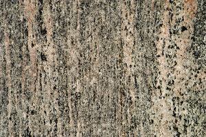 Gneis Roca de textura: 