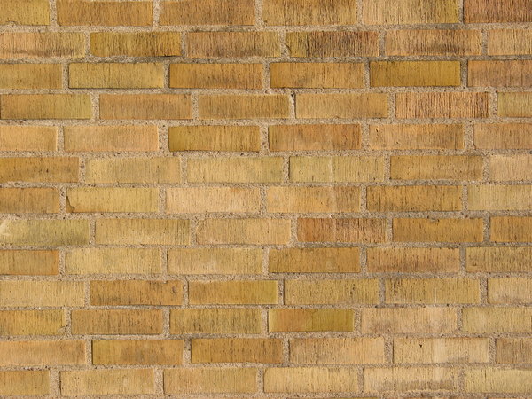 brickwall texture 22: Series of various brickwalls or brick-based walls. There are more than 50 unique textures with old and new bricks, with and without cracks, half-timbered walls, different lights etc etc and very small grid distortion.Check out all my brickwalls on SXC:htt