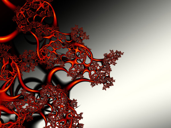 Tissue: Tissue created using UltraFractal 4.My other fractals:http://www.sxc.hu/browse. ..