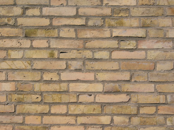 brickwall texture 12: Series of various brickwalls or brick-based walls. There are more than 50 unique textures with old and new bricks, with and without cracks, half-timbered walls, different lights etc etc and very small grid distortion.