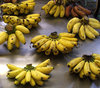 banana bunches: market table with bunches of yellow ripe bananas