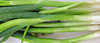 spring onions: small loose bunch of raw spring onions