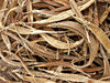 dried pipefish for sale: dried pipefish for sale for food and medicinal purposes
