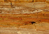 rochas sedimentares: 