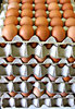 huevos-stack-ly: 