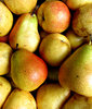 blush of colour: bulk quantity of pears with a 'blush' of colour