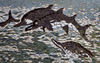 dolphin mosaic: mosaic panel depicting dolphins in action