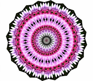 flower circle pink: abstract backgrounds, textures, patterns, geometric patterns, kaleidoscopic patterns, circles, shapes and  perspectives from altering and manipulating image