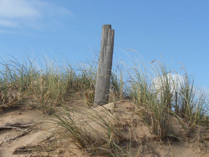sand dunes 2: sand dunes along West Australian southwest coastline