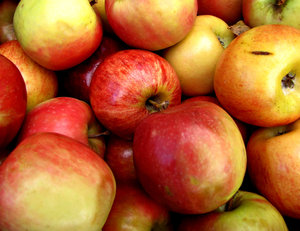 apples: a variety of eating apples