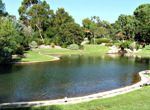 park lake: memorial park lake