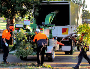working men & machines3: workmen feeding tree branches into wood chipping machine