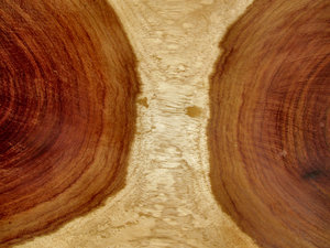 gecombineerd houtnerven: 