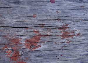 old cracked wood3: old weathered and cracked wood