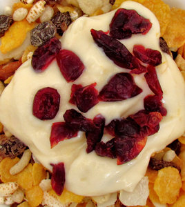 breakfast3: a gluten-free cereal muesli breakfast with cranberries and yoghurt