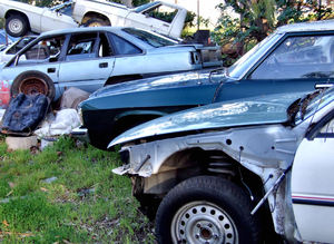 at the wrecker's yard9: vehicle wreckers salvage yard