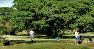 golf course movement4b: golfers on the move on public park golf course
