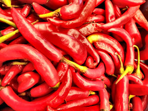 lots of chillies2: bulk quantity of raw chillies