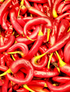 lots of chillies1b: bulk quantity of raw fresh chillies