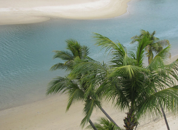 Paradise beach: 