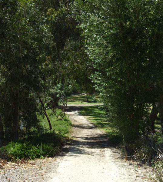 bush path: bush path