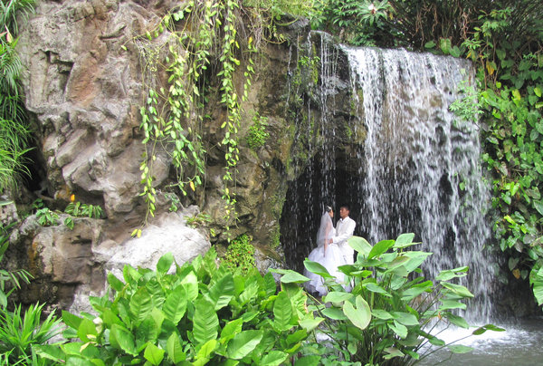 behind the waterfall: wedding couple in cave behind waterfall