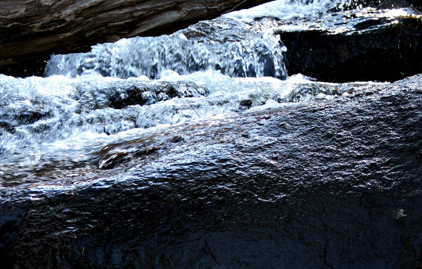 bushland stream: small stream or creek with waterfall in Australian bush