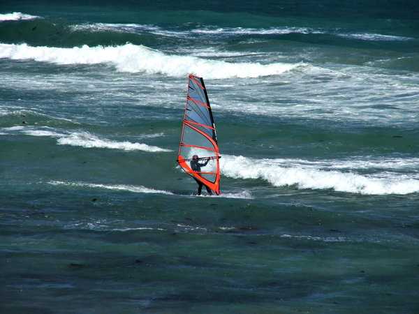 wind surfer: wind surfer trying to maintain balance while sail is pushed by the wind