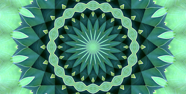 green leaf mandala: abstract backgrounds, textures, patterns, geometric patterns, kaleidoscopic patterns, circles, shapes and  perspectives from altering and manipulating images