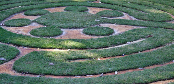 spiralling lawn path2: meditative spiralling maze garden lawn
