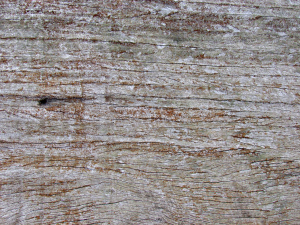 hout texturen 3: 