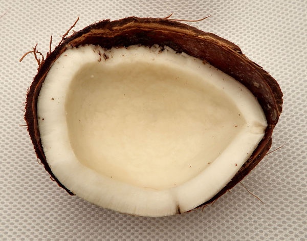 coconut3: 