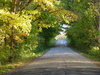 Dirt Road in Autumn: Autumn foliage forming an archway over dirt road