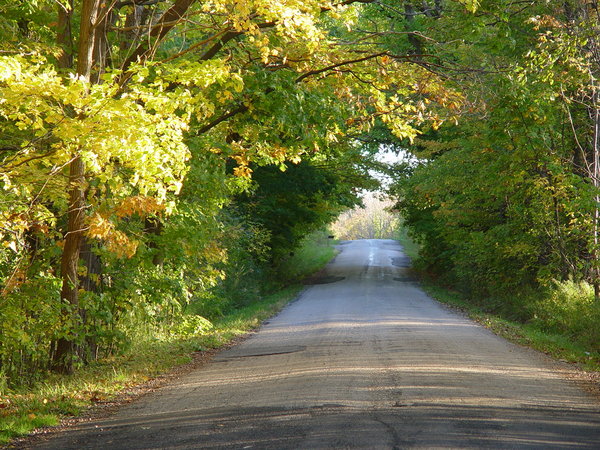 camino de tierra en el otoño: 