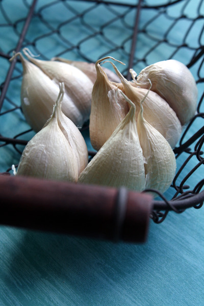 Garlic: no description