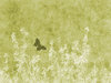 Green Nature Grunge: A grungy meadow with butterfly textured background.  Lots of copyspace.