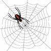 Arachnophobia 4: Spooky spider on web.  Black over white.