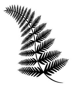 Fern 2: An illustration of a fern.