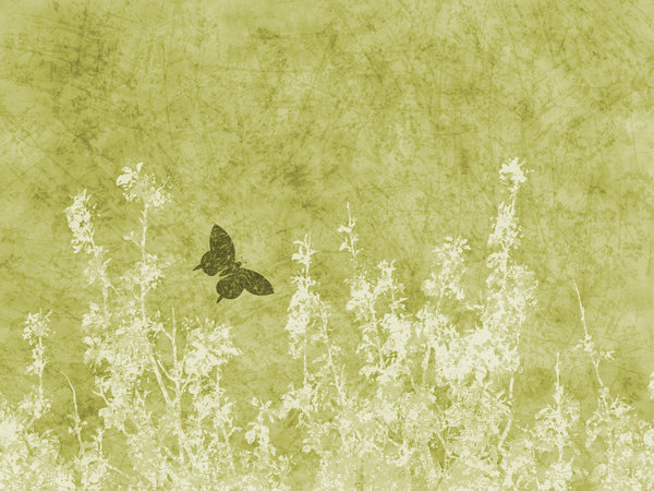 Green Nature Grunge: A grungy meadow with butterfly textured background.  Lots of copyspace.