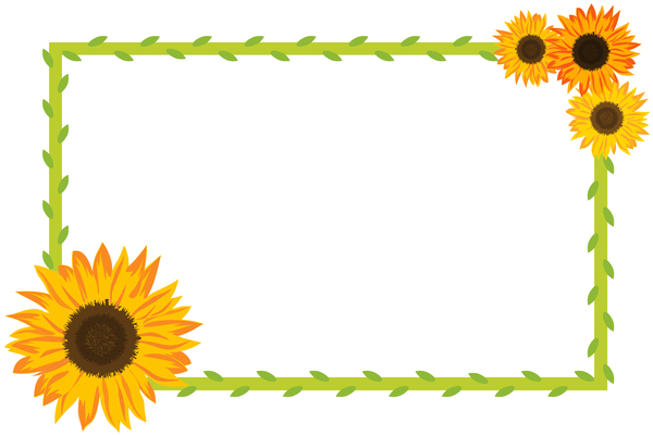 Sunflower Border 2: Sunflower and foliage border on white background.
