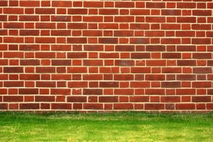 Brick Wall: Traditional english bond red brick wall with a green grass border